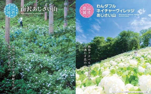 初夏の2大スポットを彩る3万株の花めぐり♪