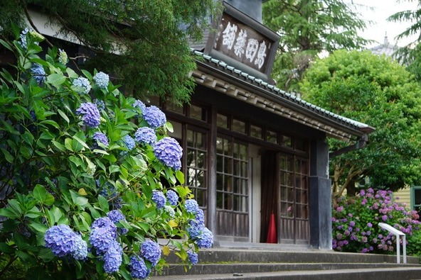 あじさいと旧島田家住宅