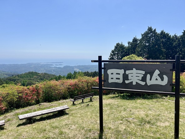2026年5月15日の様子