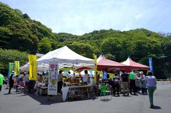 花もグルメも大集合! 久里浜の春を彩る1日