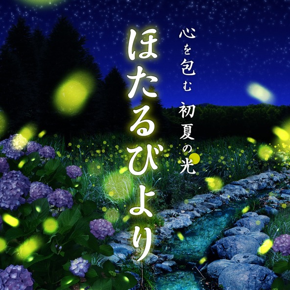 幻想的な光に癒やされる!