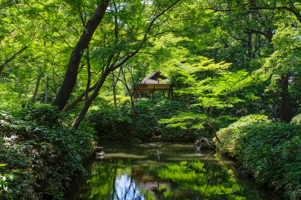 青もみじに囲まれた「つつじ茶屋」(画像提供:Gengorou / PIXTA)