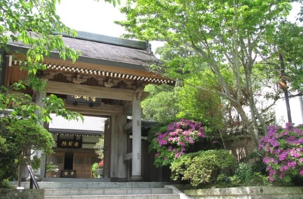 由比ヶ浜を望む絆の紫陽花