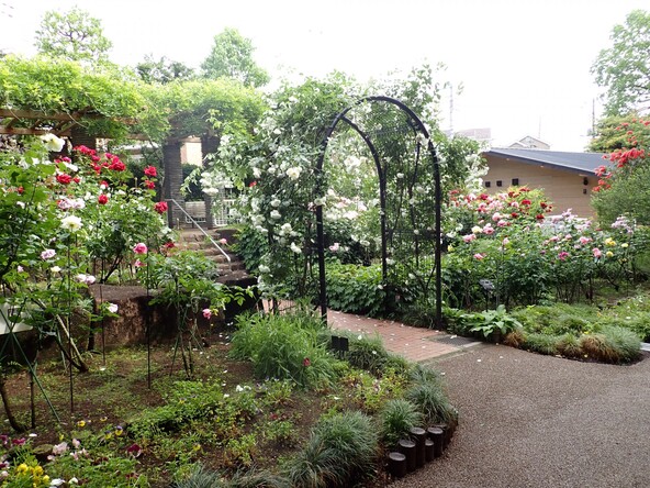 バラ園の様子(出典:“赤塚植物園バラ園” , CC BY 4.0, via 板橋区Open Photo)