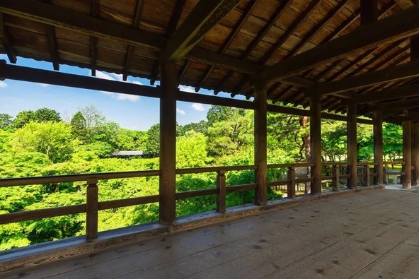本堂と普門院を結ぶ「通天橋」からは、渓谷を埋め尽くす青もみじが鑑賞できます
