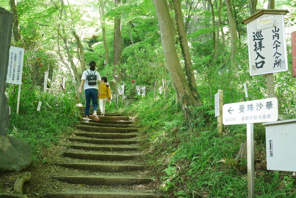 森林浴をしながら“プチお遍路”が楽しめます