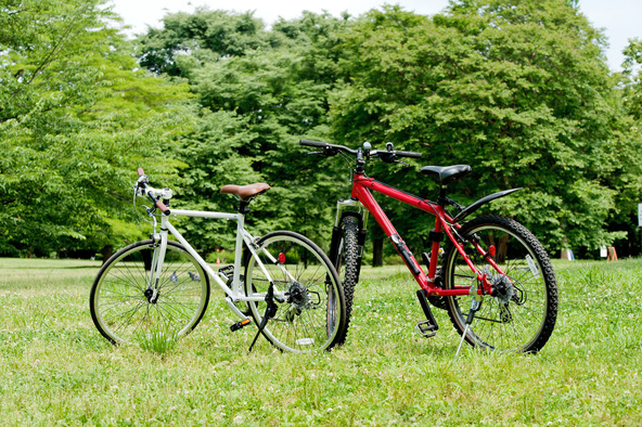 ピクニックやサイクリングなど思い思いに一日を満喫できます (画像提供:Caito / PIXTA)