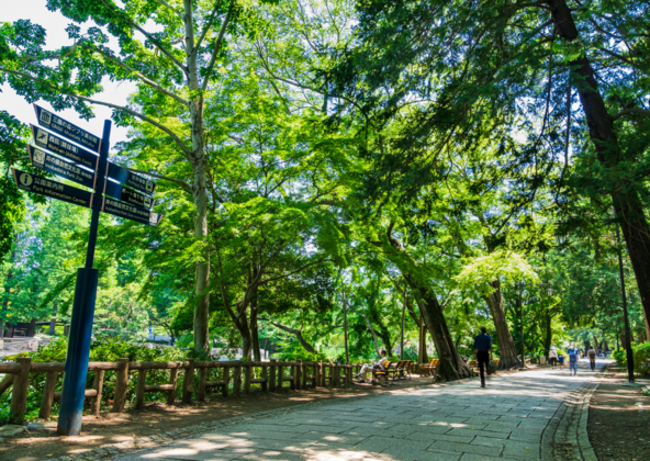 初夏の「井の頭恩賜公園」 (画像提供:千和 / PIXTA)