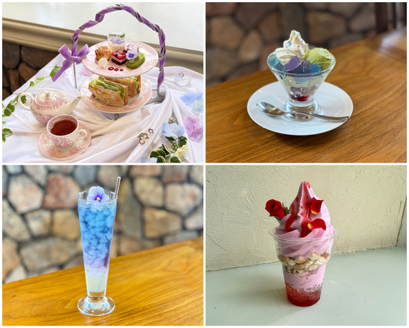紫陽花シーズン限定のメニューが充実