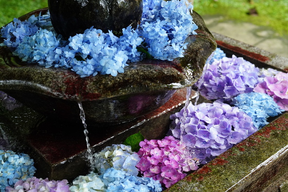 過去には花手水の演出も(画像提供:アドルフォイ / PIXTA)