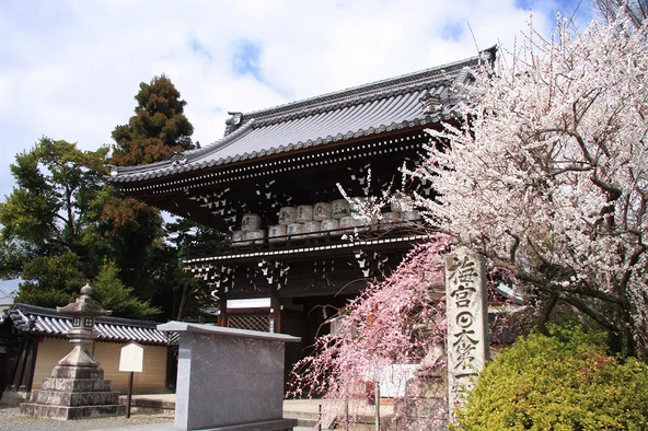 奈良時代に建立された「梅宮大社」