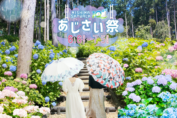 雨の日は、レトロかわいい「あじさ傘」をレンタルしてあじさい巡りを楽しもう!