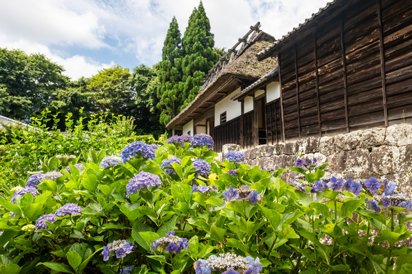 約300年以上の歴史を誇る邸宅と、広大な敷地を彩る四季折々の花々が楽しめる名所です(画像提供:msks / PIXTA)