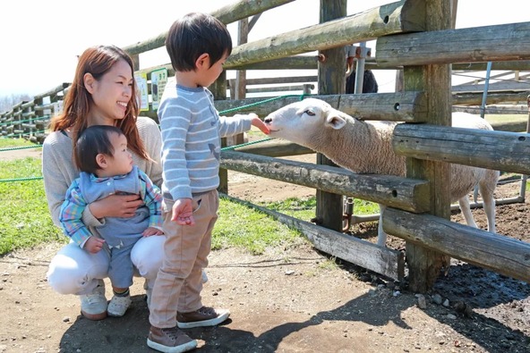 ふれあい&エサやりOKの動物も多数いるので、時間を気にせず心ゆくまで楽しもう
