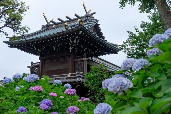 「白山公園」から眺める「白山神社」も雰囲気抜群!