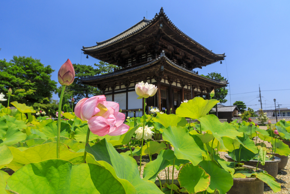 喜光寺(画像提供:オフィスK / PIXTA)