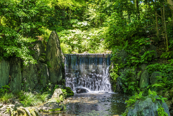 歴史ある庭園の風景とともに蓮や睡蓮を楽しめます(画像提供:Masa / PIXTA)