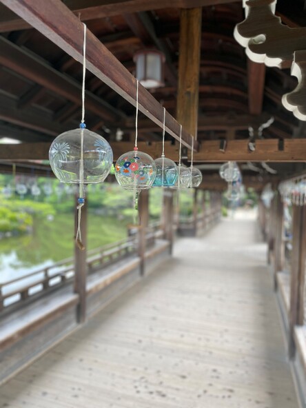涼やかな風鈴の音に親子で癒やされましょう
