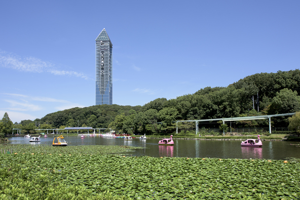 ボートに乗りながら睡蓮を観賞できます(画像提供:leicahiroba / PIXTA)
