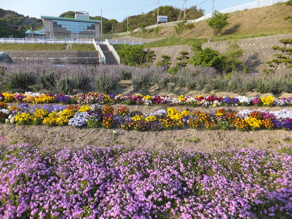 多彩なハーブや花が植えられたガーデン(画像提供:lavender / PIXTA)