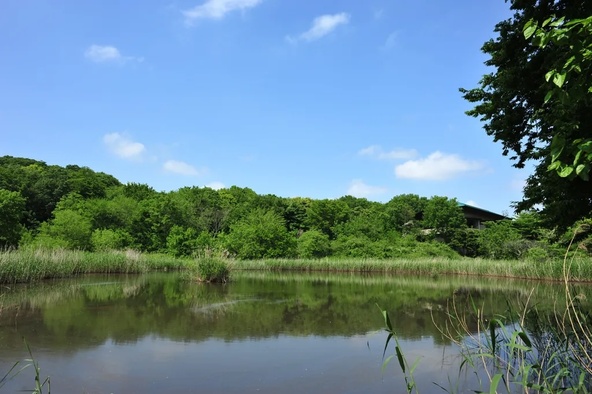 埼玉県初の森林セラピー基地に認定された「北本自然観察公園」