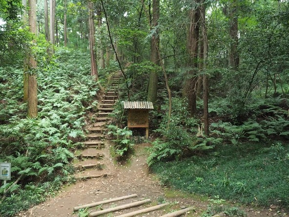 映画「となりのトトロ」のモデルのひとつといわれる里山風景