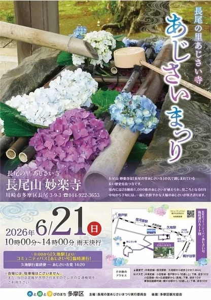 色鮮やかな大輪のあじさいが咲き誇る!(画像提供:長尾の里あじさいまつり実行委員会)
