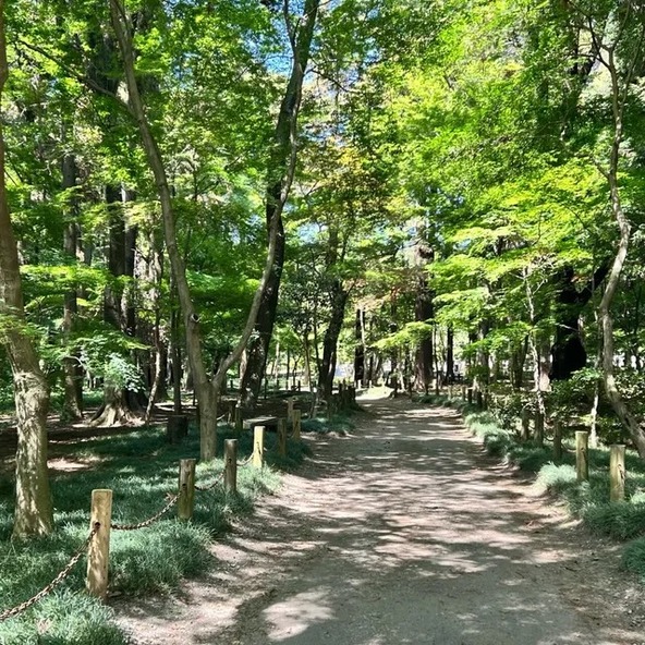 木々に囲まれた静かな境内を散策