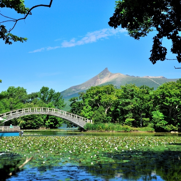 初夏の「大沼国定公園」