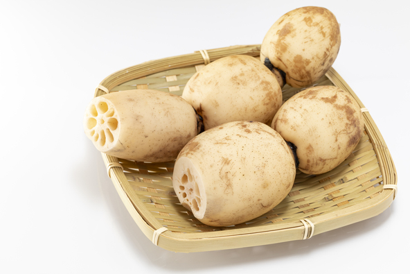花だけでなく、食材として親しまれているのも蓮の特徴(画像提供:mao / PIXTA)