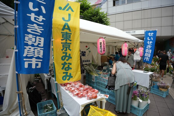 地元でとれた新鮮な野菜も購入できます