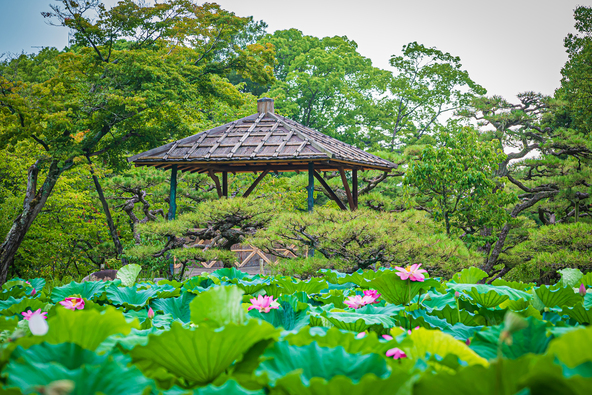 歴史ある名ならではの情緒豊かな景色が楽しめます(画像提供:KinkinMK / PIXTA)