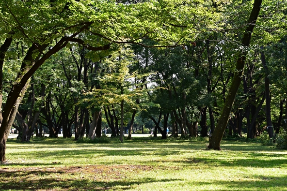 緑豊かな園内は散策にもぴったり(画像提供:K2ラボ / PIXTA)
