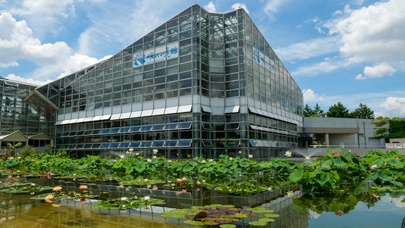 施設前の池でもたくさんの水生植物を観賞できます(画像提供:sato / PIXTA)