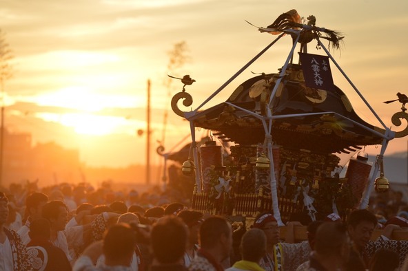 朝日の光を受けながら、神輿が渡御(とぎょ)されます