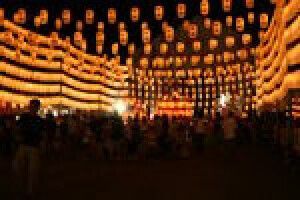 約9,000灯の提灯が境内を照らす、幻想的な光の祭典