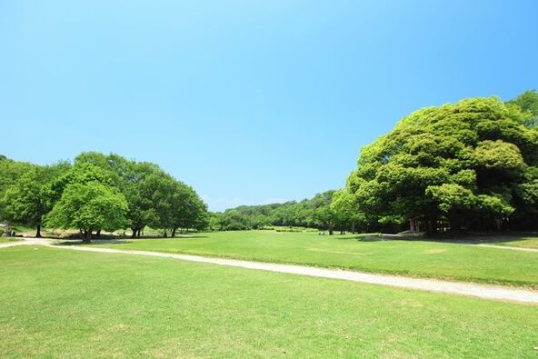 豊かな森に包まれた「愛知県森林公園(画像提供:尾張旭市)