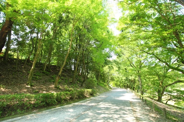 花壇や庭園、自然豊かな森の中で森林浴を楽しめます(画像提供:尾張旭市)