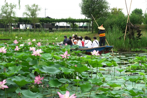 「サッパ舟」に乗って、園内の水路をゆったりめぐることもできます(画像提供:香取市)
