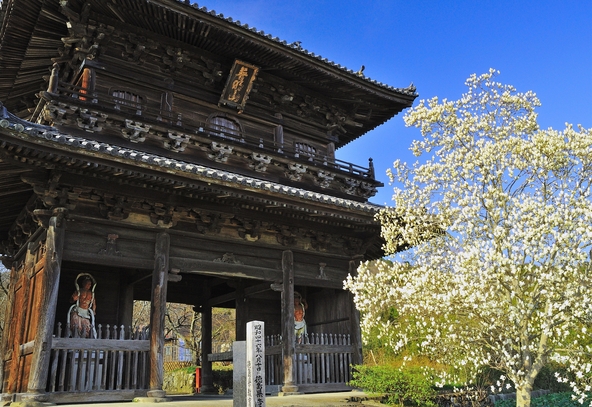 参道のシンボル「熊谷寺」の仁王門