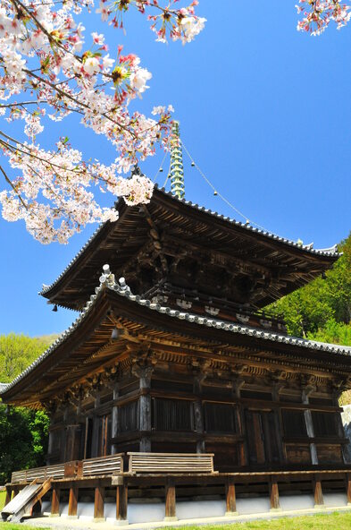 国指定重要文化財「切幡寺大塔」