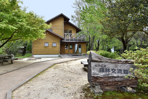 ヒノキやスギ、カシなどの木々が広がる「定光寺自然休養林」(画像提供:ryuukikou / PIXTA)