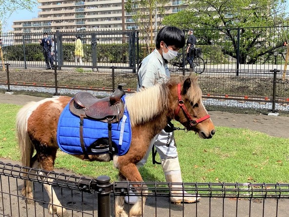 ポニー乗馬エリアの様子