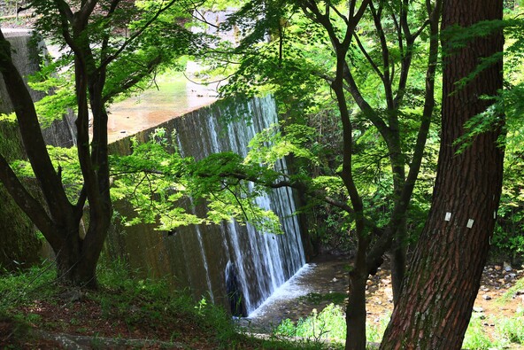 木々やせせらぎに囲まれた散策路(画像提供:kazu / PIXTA)