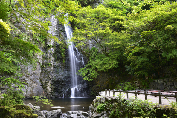 「日本の滝百選」に選ばれた「箕面大滝」(画像提供:Buuchi / PIXTA)