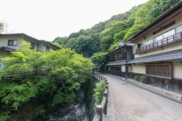 木々に囲まれた遊歩道が続きます(画像提供:YO / PIXTA)