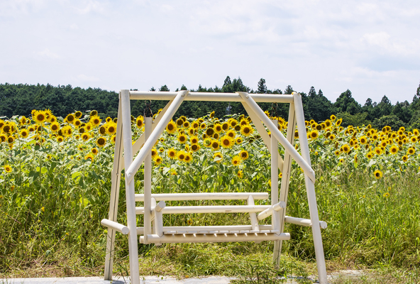 この夏の最高の1枚を残しましょう