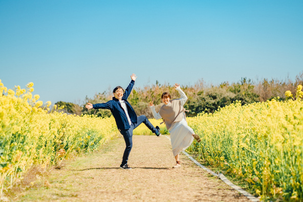 プログラムNo.34 菜の花まつりメイン会場【伊良湖菜の花ガーデン】で菜の花狩りを体験!