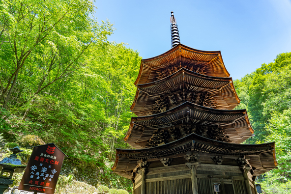 全国でも珍しい木造の八角三重塔が見どころの「安楽寺」