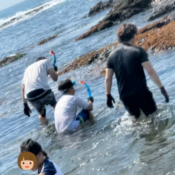 海の生き物たちと出会える磯遊びスポット(画像:姉妹サイト「いこーよ」ユーザ投稿)